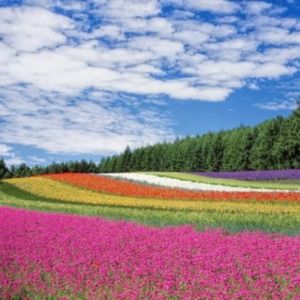 Meet your Posher, Byron